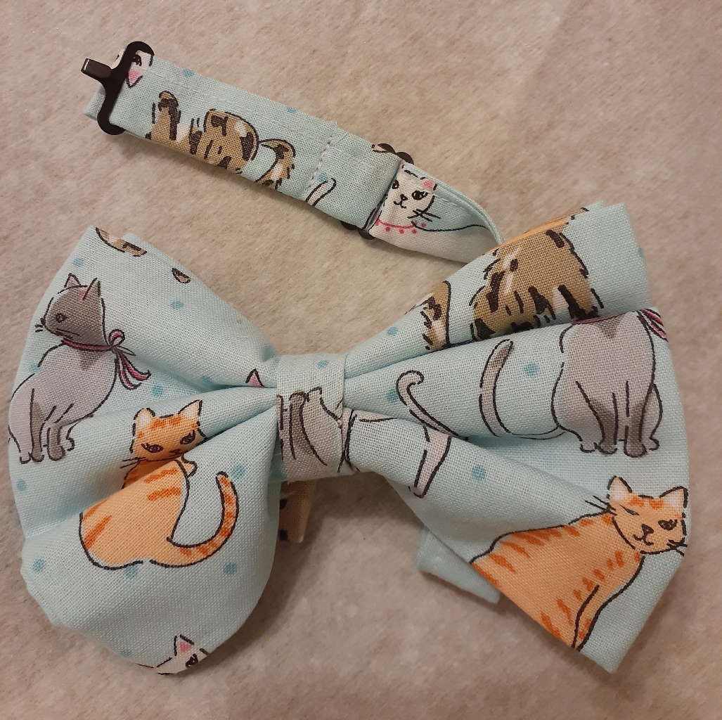Cats